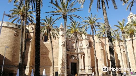 Cathedral Encarnación de Almería