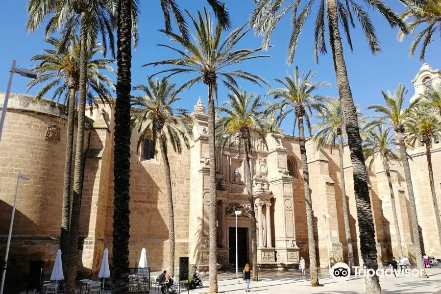 Almeria Cathedral