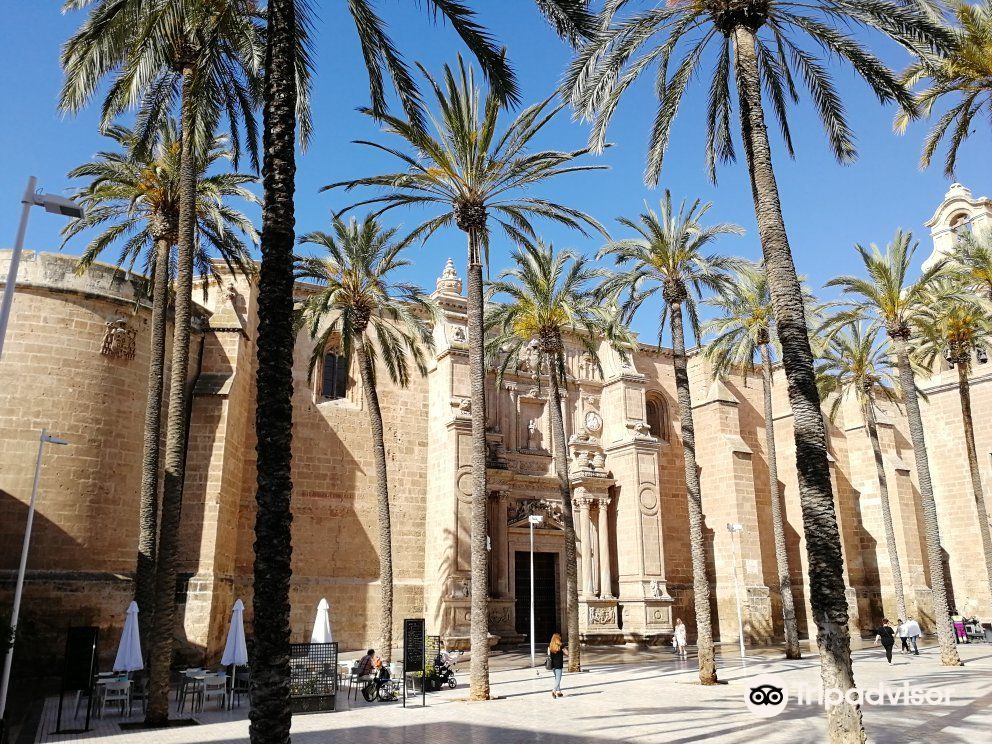 Cathedral Encarnación de Almería