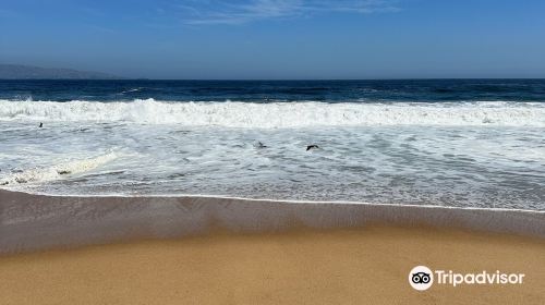 Playa Renaca