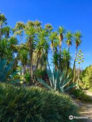 Jardin Exotique et Botanique de Roscoff