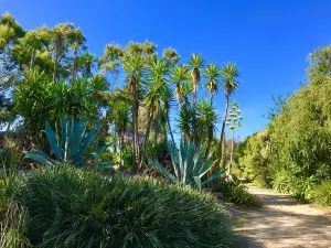 Jardin Exotique et Botanique de Roscoff