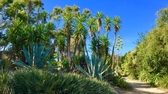 Jardin Exotique et Botanique de Roscoff