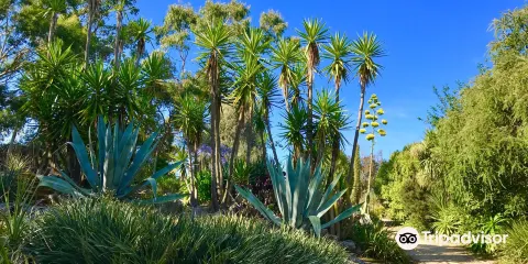Jardin Exotique et Botanique de Roscoff