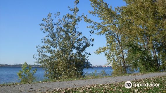 Marie-Victorin Park