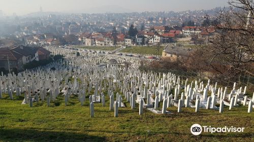 Alifakovac cemetery