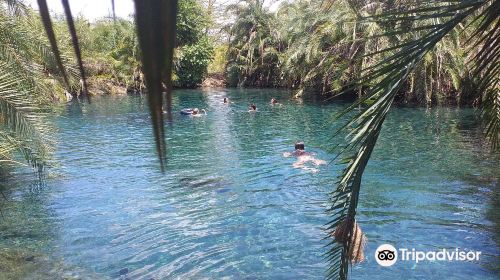 Kikuletwa Hotsprings