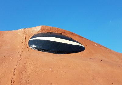 Worlds Largest Horseshoe Crab