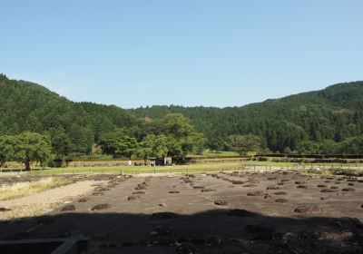 Ichijodani Asakurashi Ruin