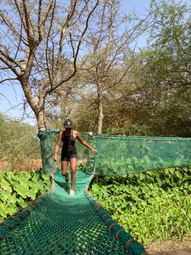 accrobaobab adventure