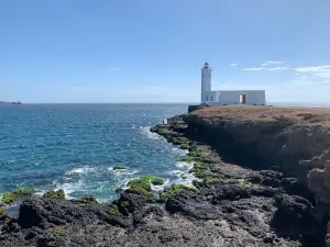 Farol de D. Maria Pia