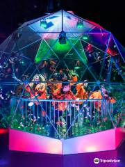 The Crystal Maze LIVE Experience