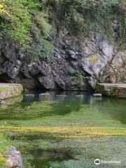 Parque y Nacimiento de La Fuentona en Ruente