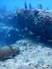 Samana Diving - Day Class