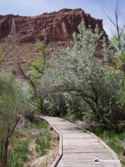 Scott Matheson Wetlands Preserve