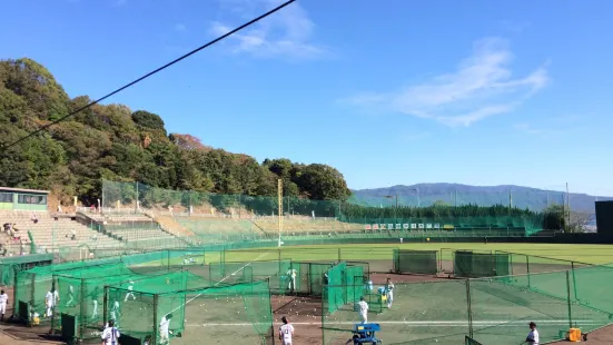 Aki Tigers Stadium