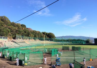 Aki Tigers Stadium