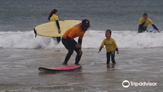 Wavecrest Surf School