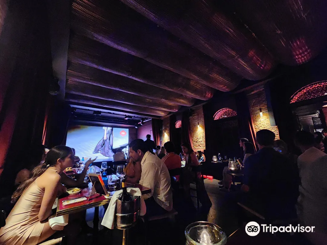 3_Flamenco de Leones