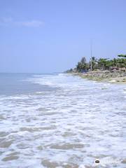 Cherai Beach