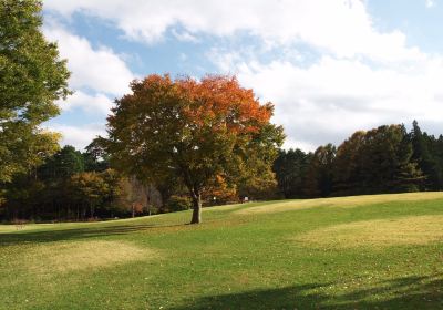 諏訪の森自然公園