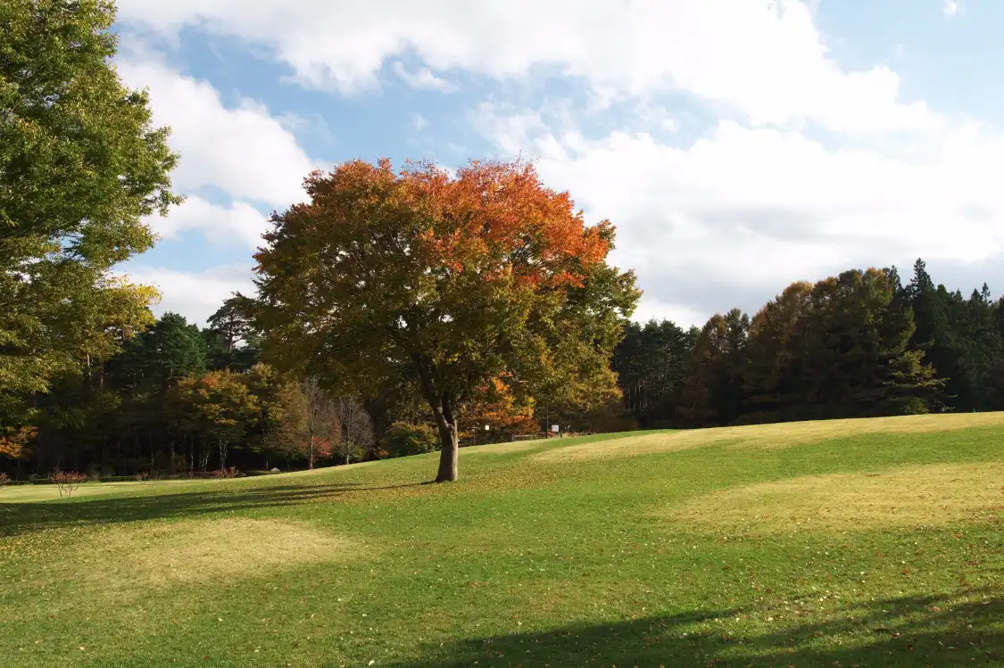 Các khách sạn gần Suwanomori Natural Park