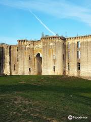 Castle of the Ferte-Milon