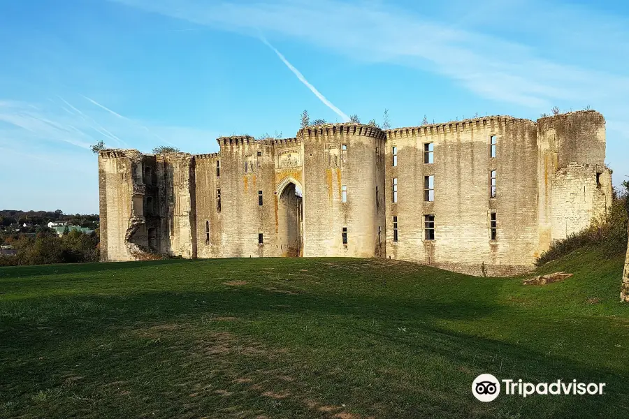 Castle of the Ferte-Milon