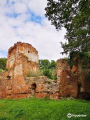 Castle in Milicz