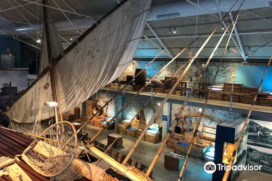 The Fishing Museum