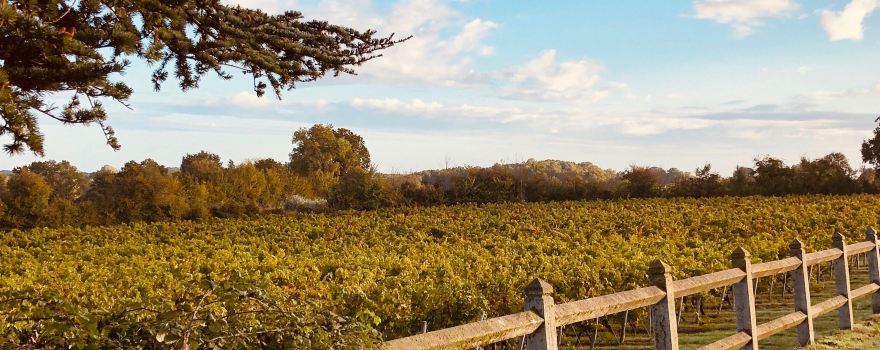 Domaine de Pied-Flond