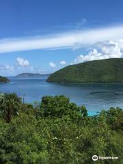 Coral Reef Underwater Park Trail