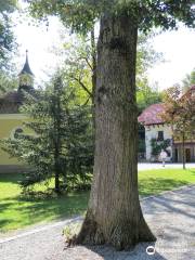 Andreas Hofer monument