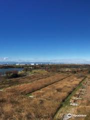 Lake Sai & Doman Green Park