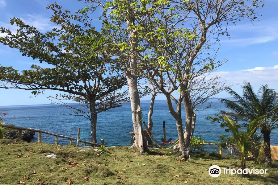 Los Bamboos Marine Sanctuary