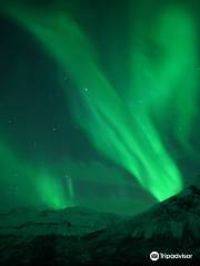 Amazing Aurora - Karlsøy Buss