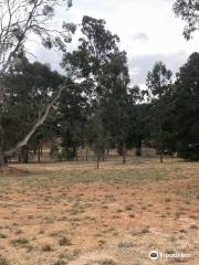 Wedderburn Reservoir Track