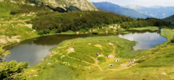Hotels near Abetina