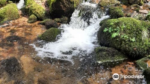 Cascade de la Serva