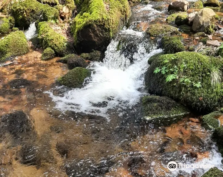 Cascade de la Serva