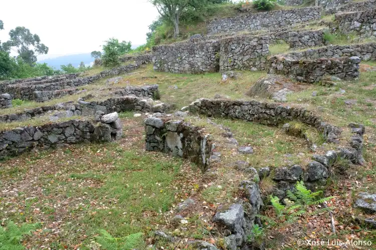 Fiães