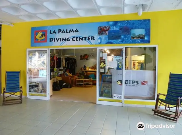 Punkfish Diving La Palma