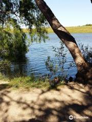 Live Oak's Main City Park