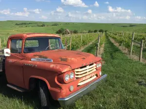 Prairie Fire Winery, Candles & Lavender Co