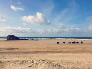 Reen Manor Riding Stables