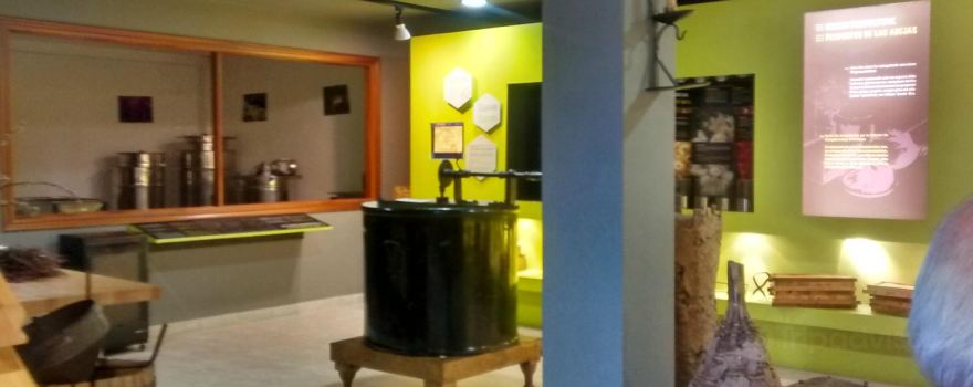 Aikur - Erle Museoa- Museo de Las Abejas