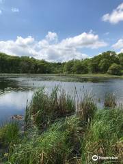 William O'Brien State Park