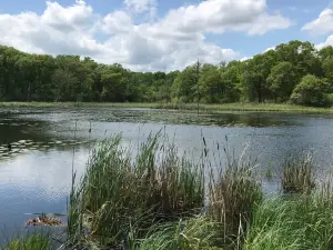 ウィリアム・オブライエン州立公園