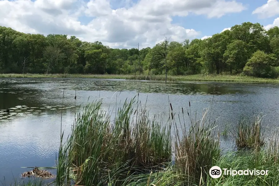 William O'Brien State Park