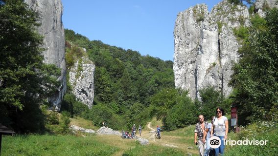 Bolechowicka Valley